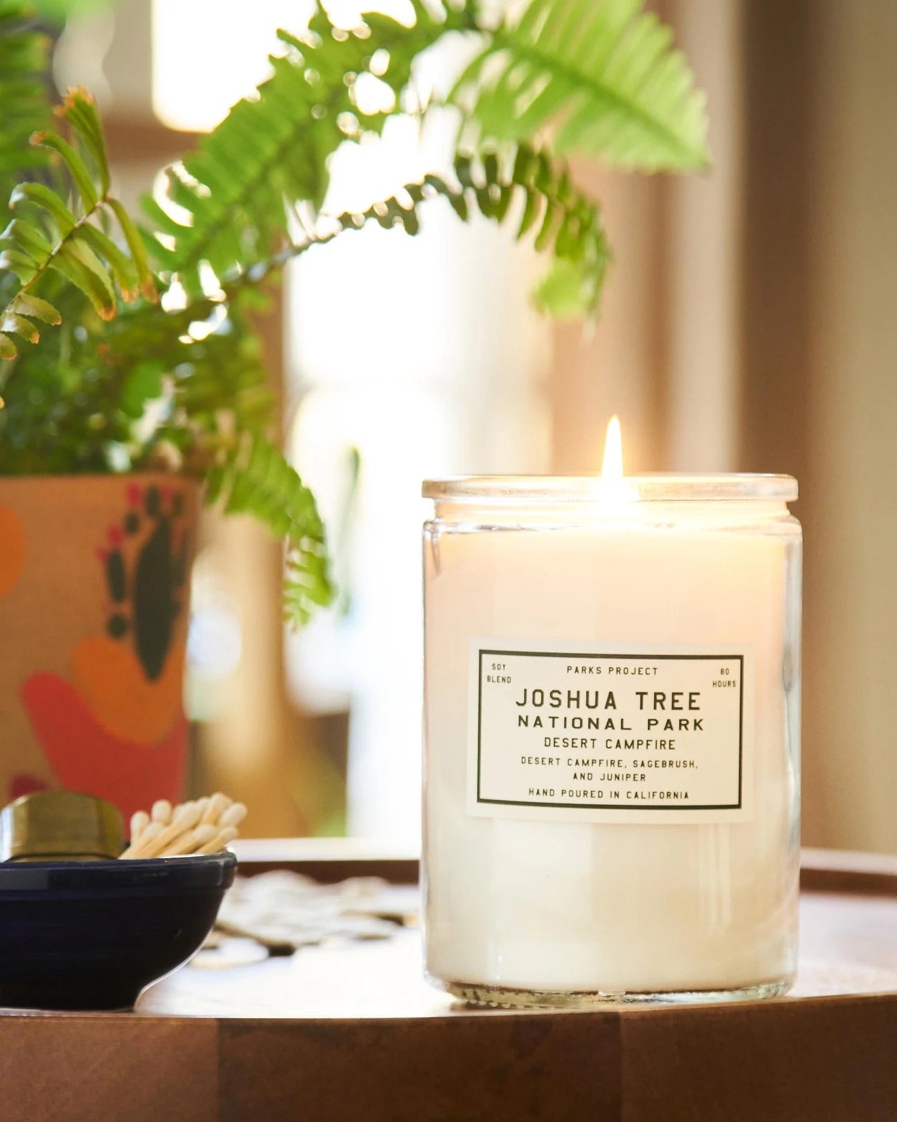 PARKS PROJECT Joshua Tree Desert Campfire Candle｜SP20-95