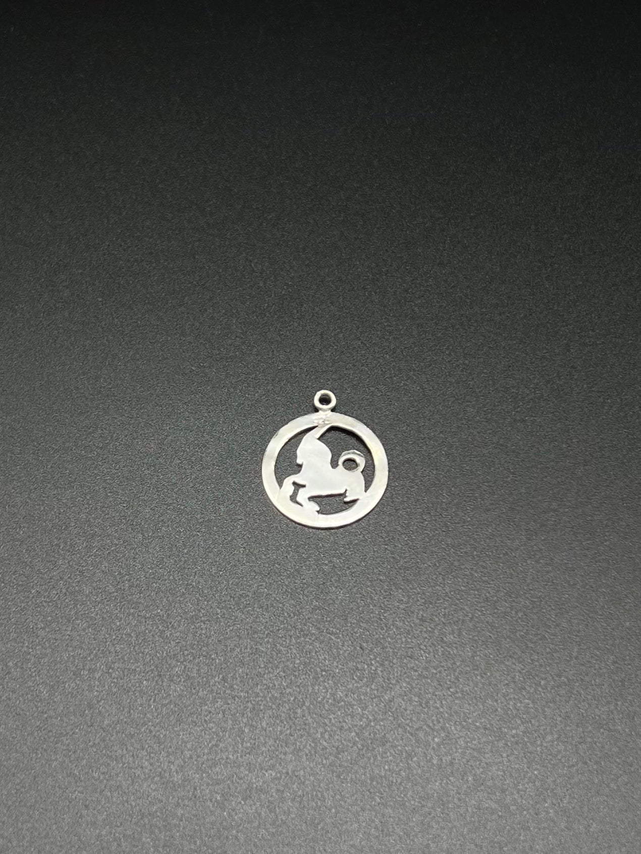 Capricorn necklace -silver925